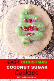 close up of one coconut sugar cookie