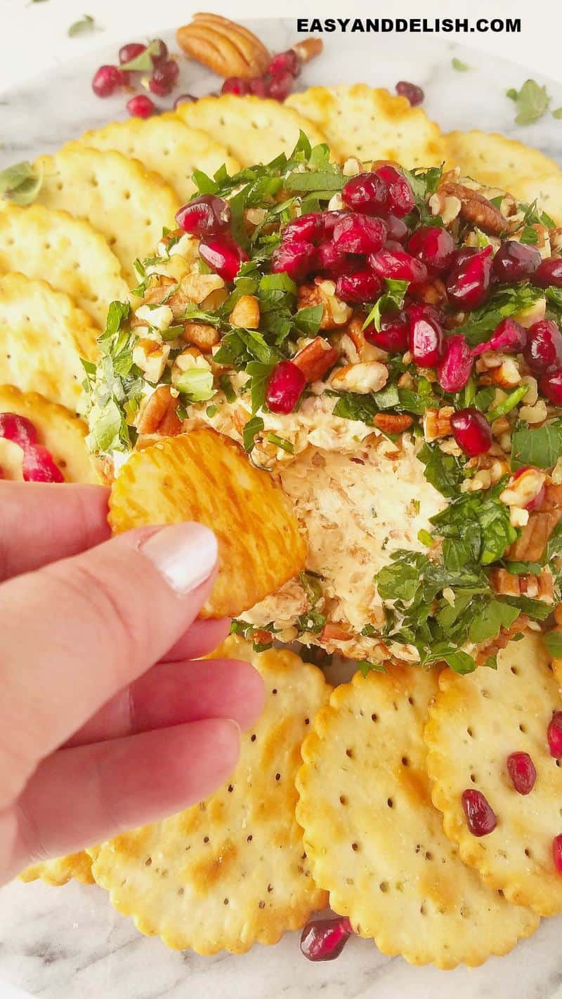 a cracker being dipped in a shrimp cheese ball 