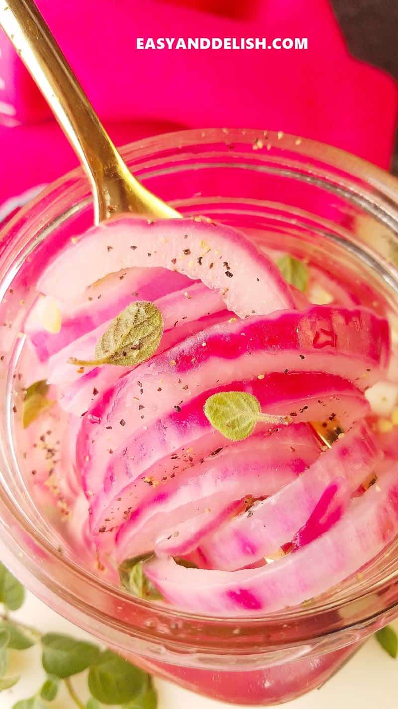 Mexican Quick Pickled Red Onions