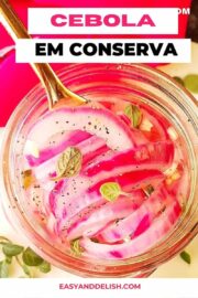CLOSE UP DE CEBOLA EM CONSERVA