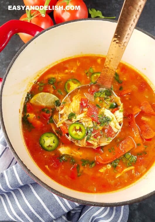 Weight Watchers Chicken Tortilla Soup (Instant Pot) Easy and Delish
