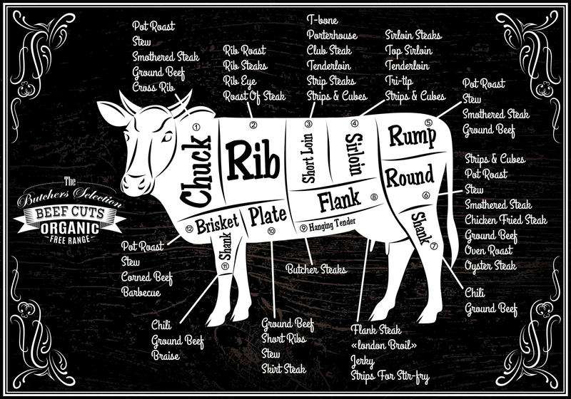 cow meat chart and name of the cuts