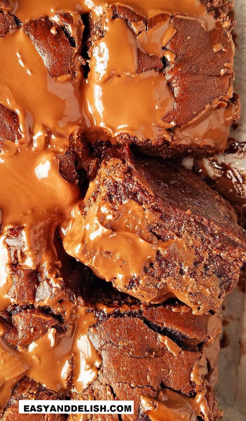close up of a slice of dairy-free brownies