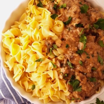 um prato de estrogonofe de carne moida com macarrão