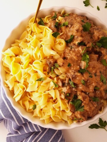 um prato de estrogonofe de carne moida com macarrão