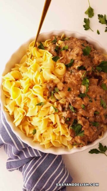 um prato de estrogonofe de carne moida com macarrão