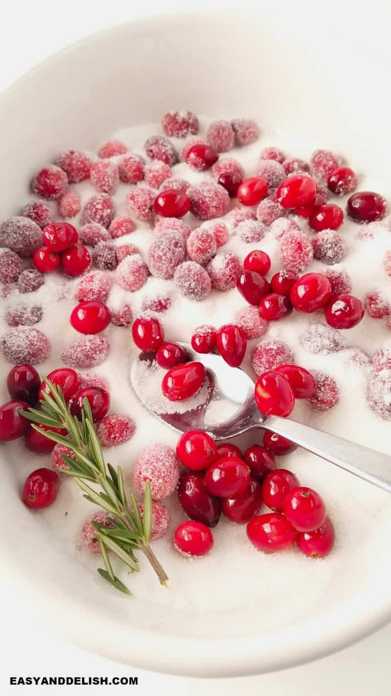 Sugared Cranberries Easy and Delish