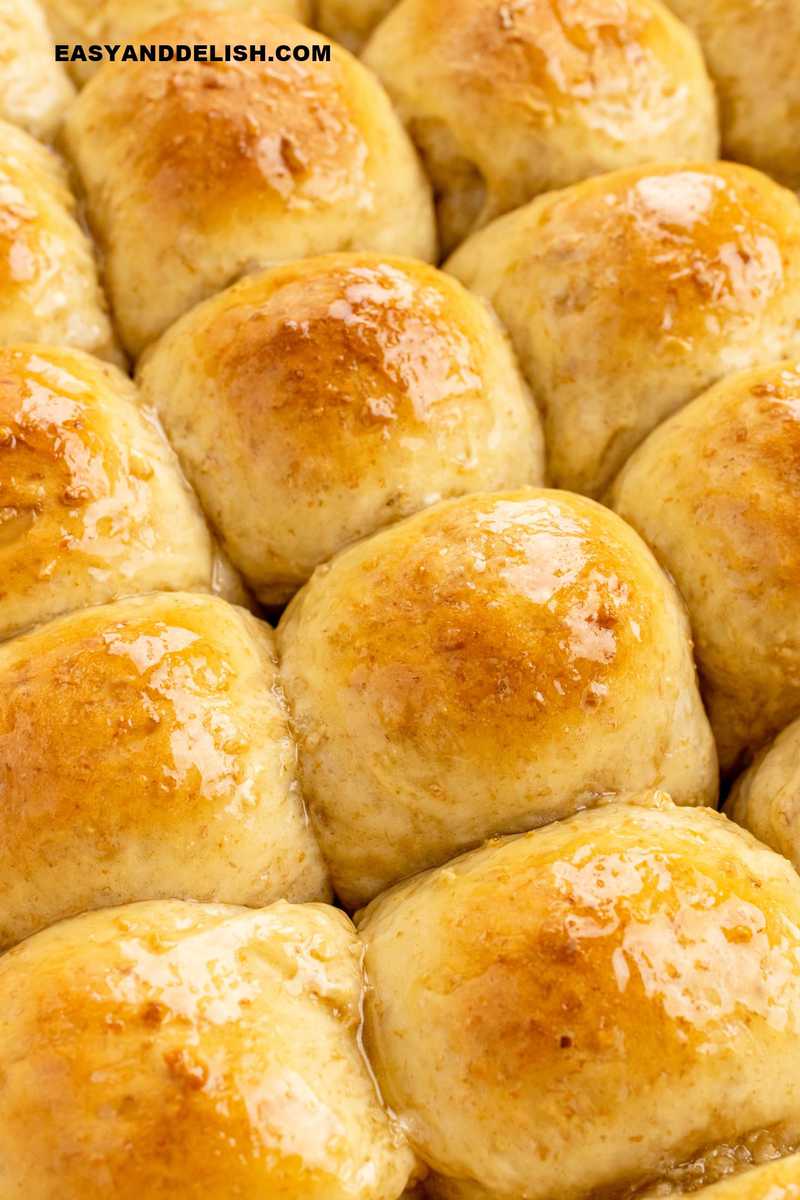 close up of honey oat rolls