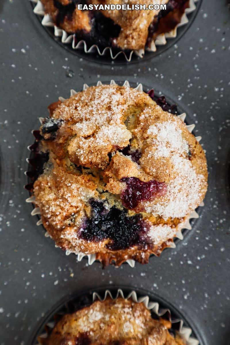 close up of a Jordan Marsh blueberry muffin