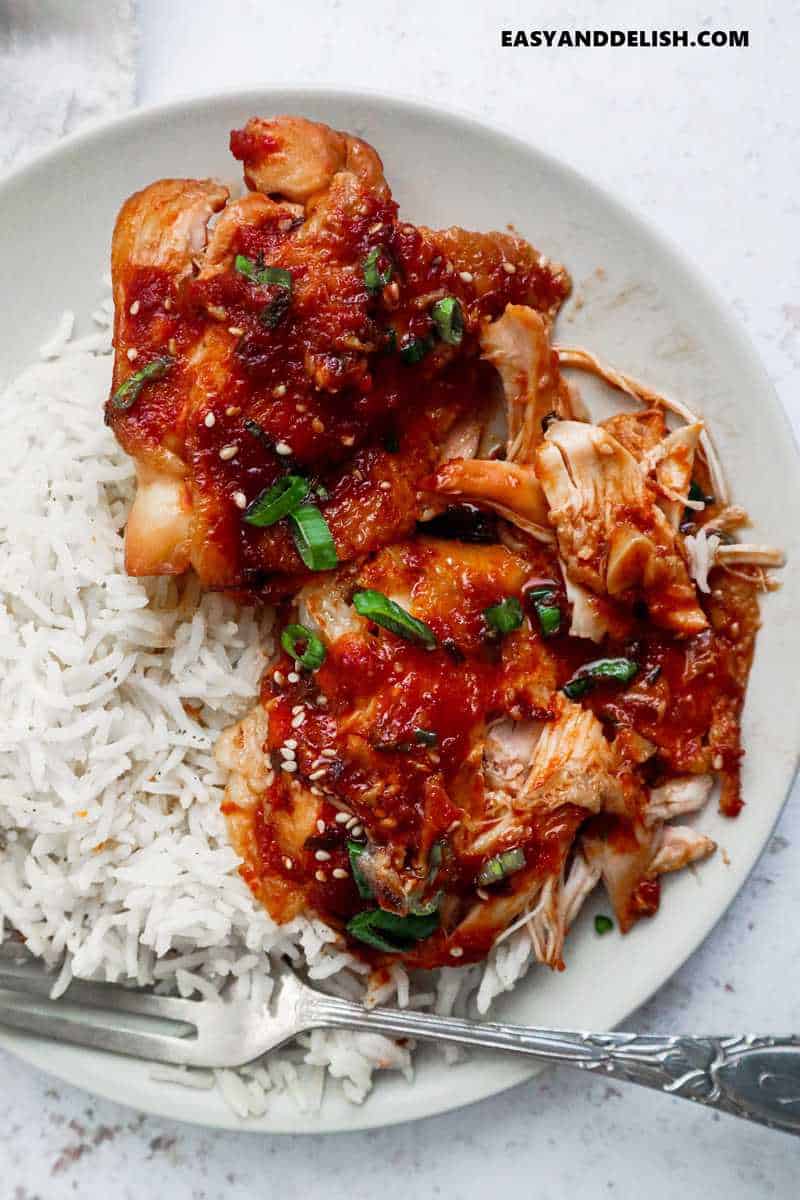 crock pot chicken thighs topped with sauce and served with rice