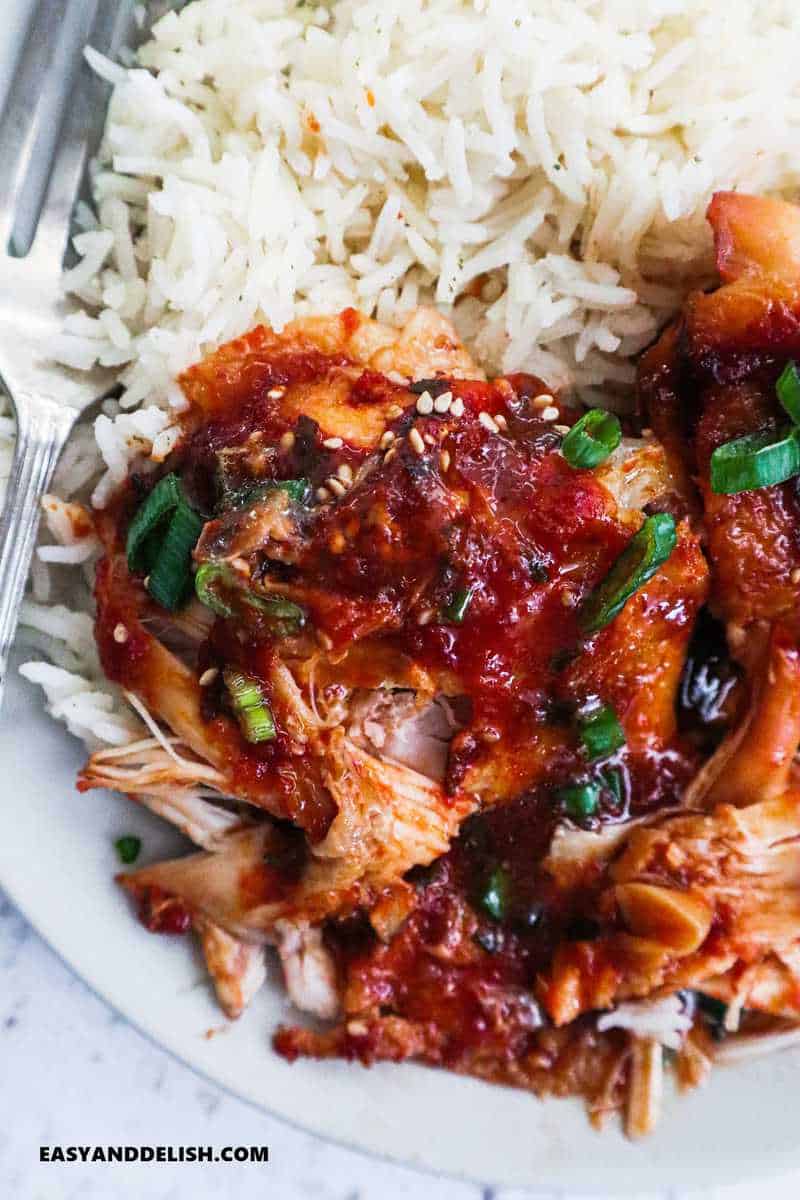 close up picture of cooked poutry in a plate with rice