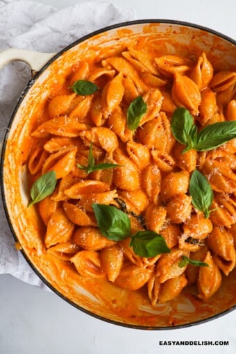 Spicy Vodka pasta in a pan