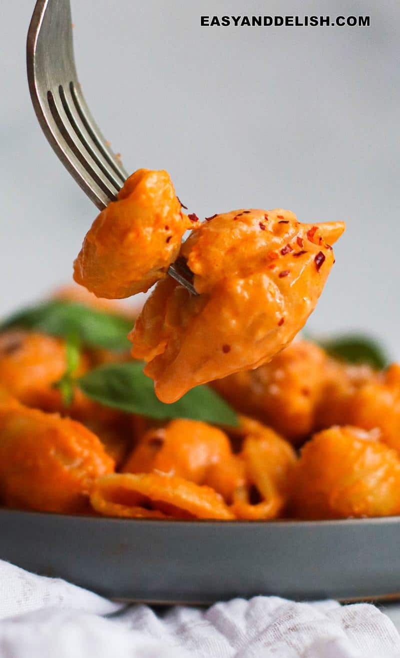 close up of pasta in a fork