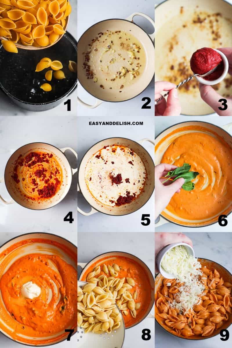 Gigi Hadid Pasta (Spicy Vodka Pasta) Easy and Delish