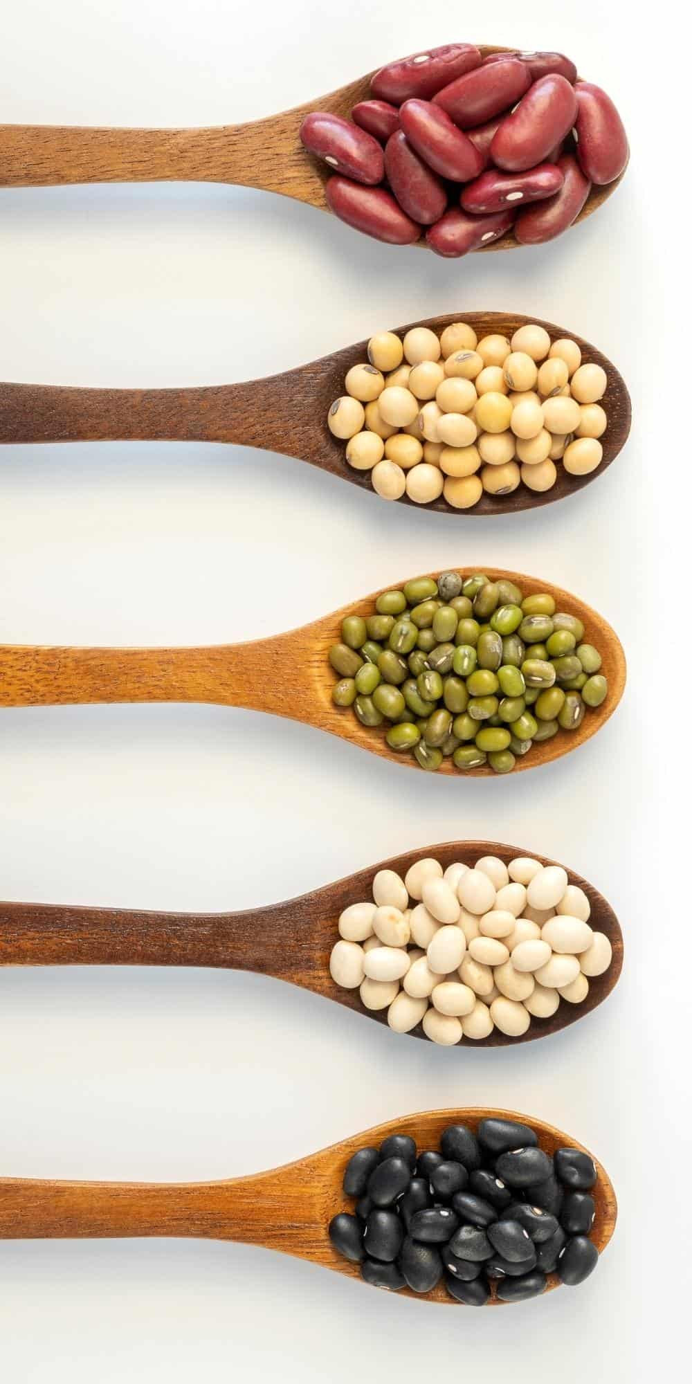 beans and lentils in spoons