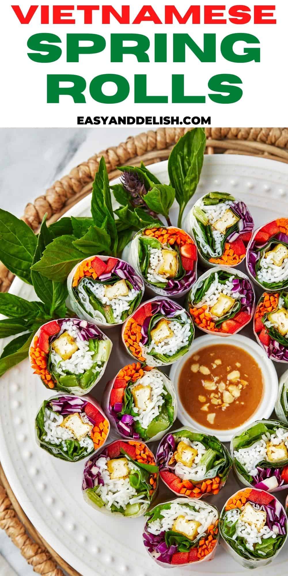 PIN SHOWING VIETNAMESE SPRING ROLLS IN A PLATE WITH SAUCE