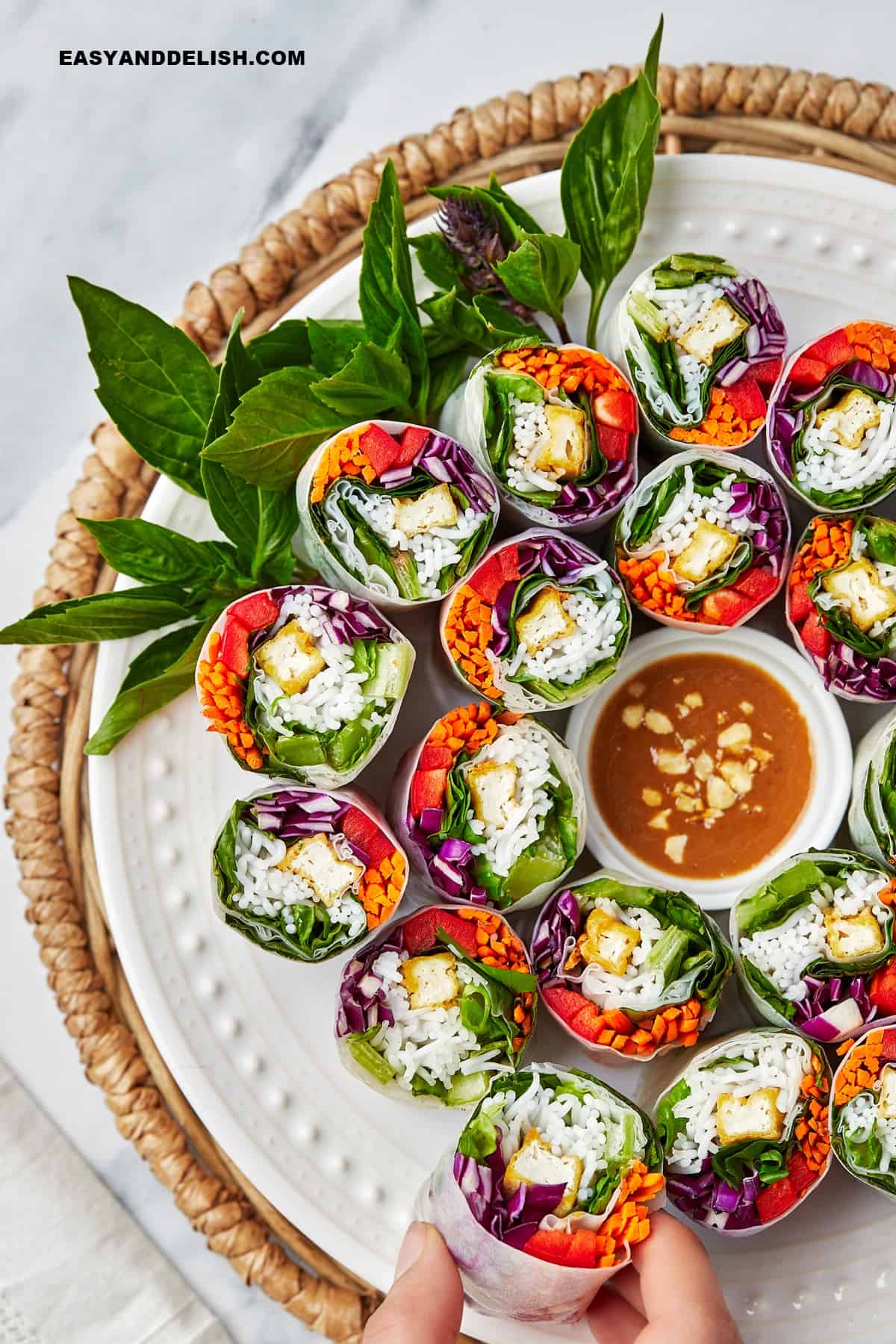 a plate with  appetizers and a mini bowl of peanut sauce in the center