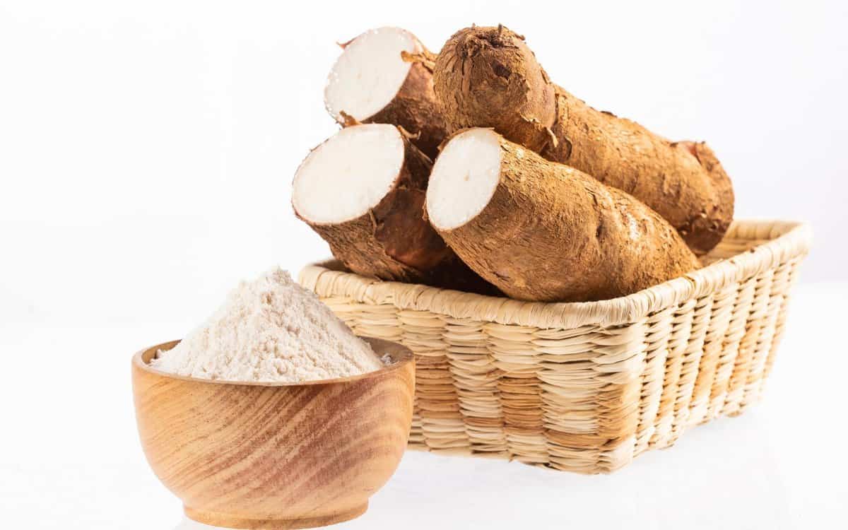 cassava root in a basket and tapioca flour in a bowl on the side