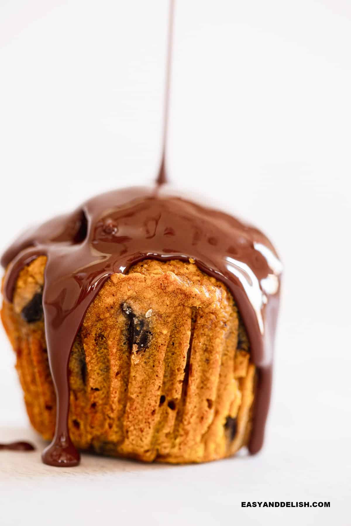 melted chocolate drizzled over a gluten-free pumpkin muffin.