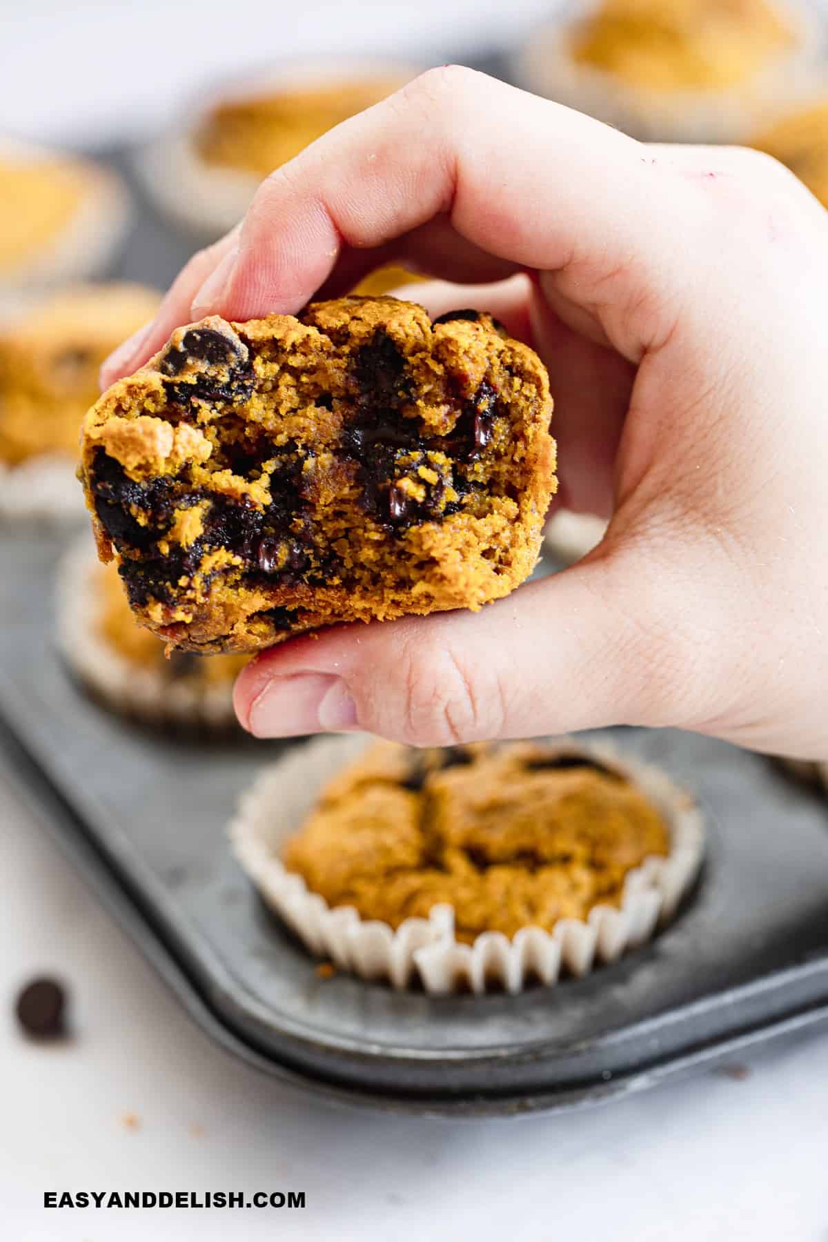 a hand holding a partially eaten gluten-free pumpkin chocolate chip muffin