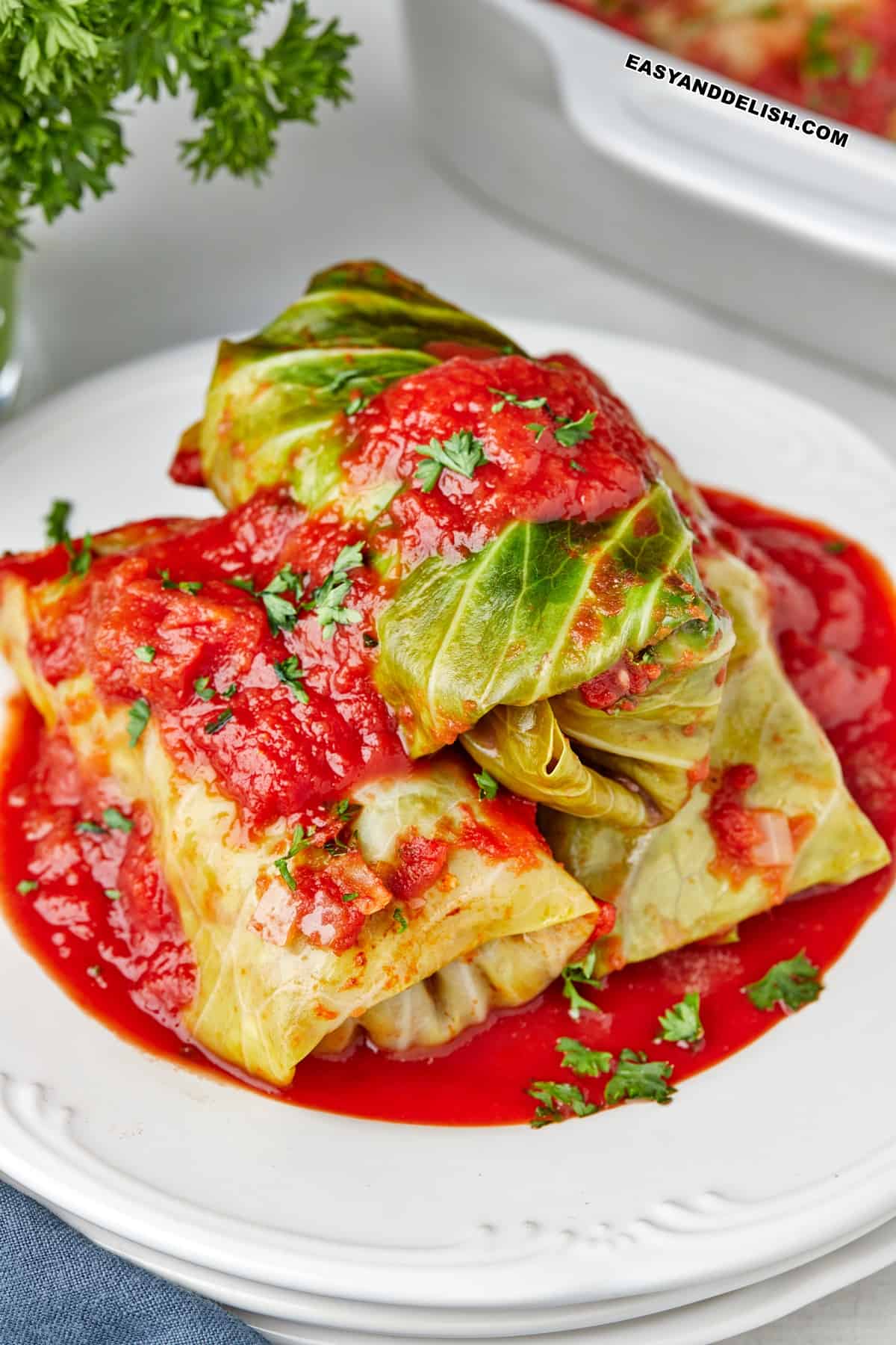 struffed cabbage rolls piled up in a plate.