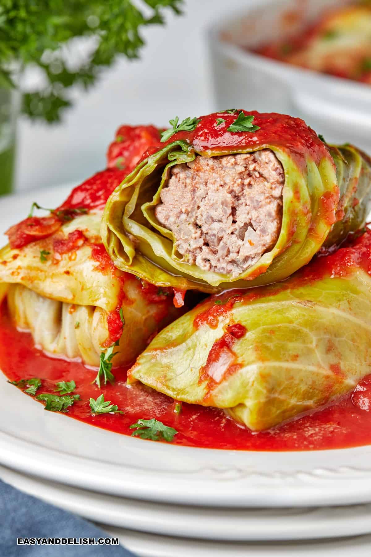 A pile of Polish stuffed cabbage rolls in a plate with a pool of tomato sauce.