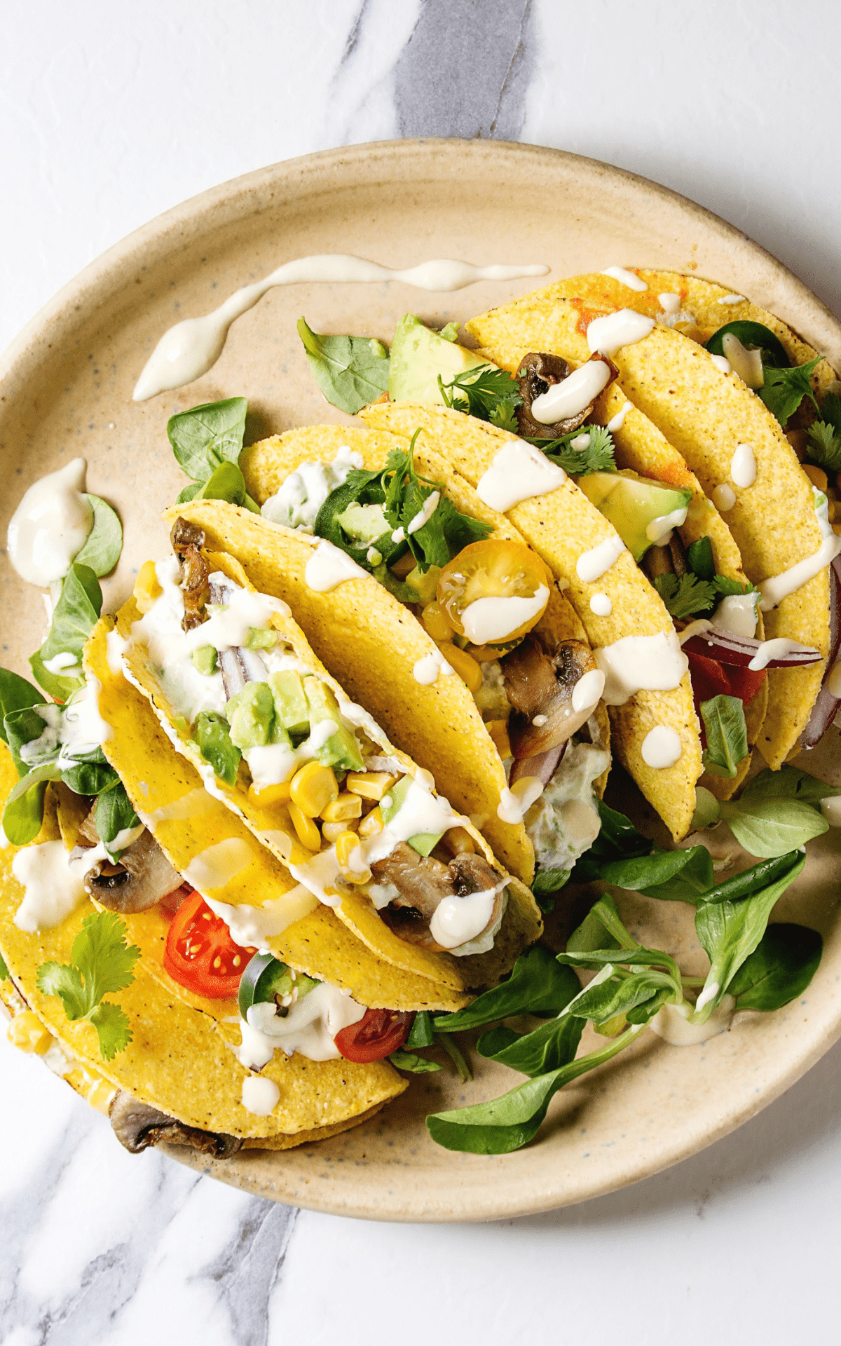 a plate with vegetarian tacos.