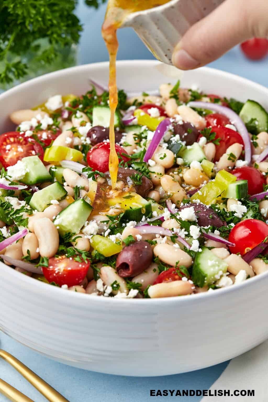 Mediterranean Salad Dressing (AIP) Easy and Delish