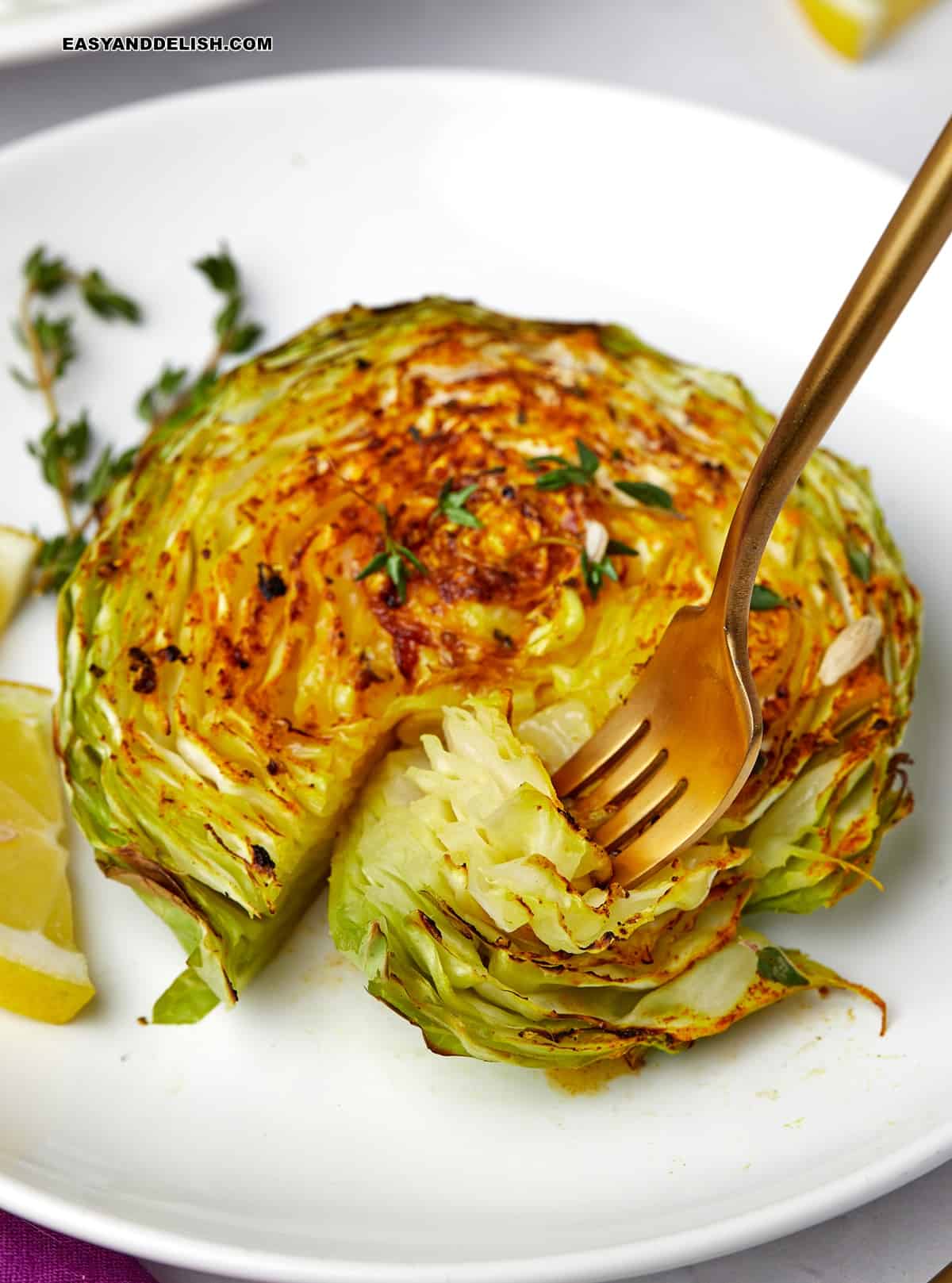 Cabbage Steak cut into a smaller piece and forked.