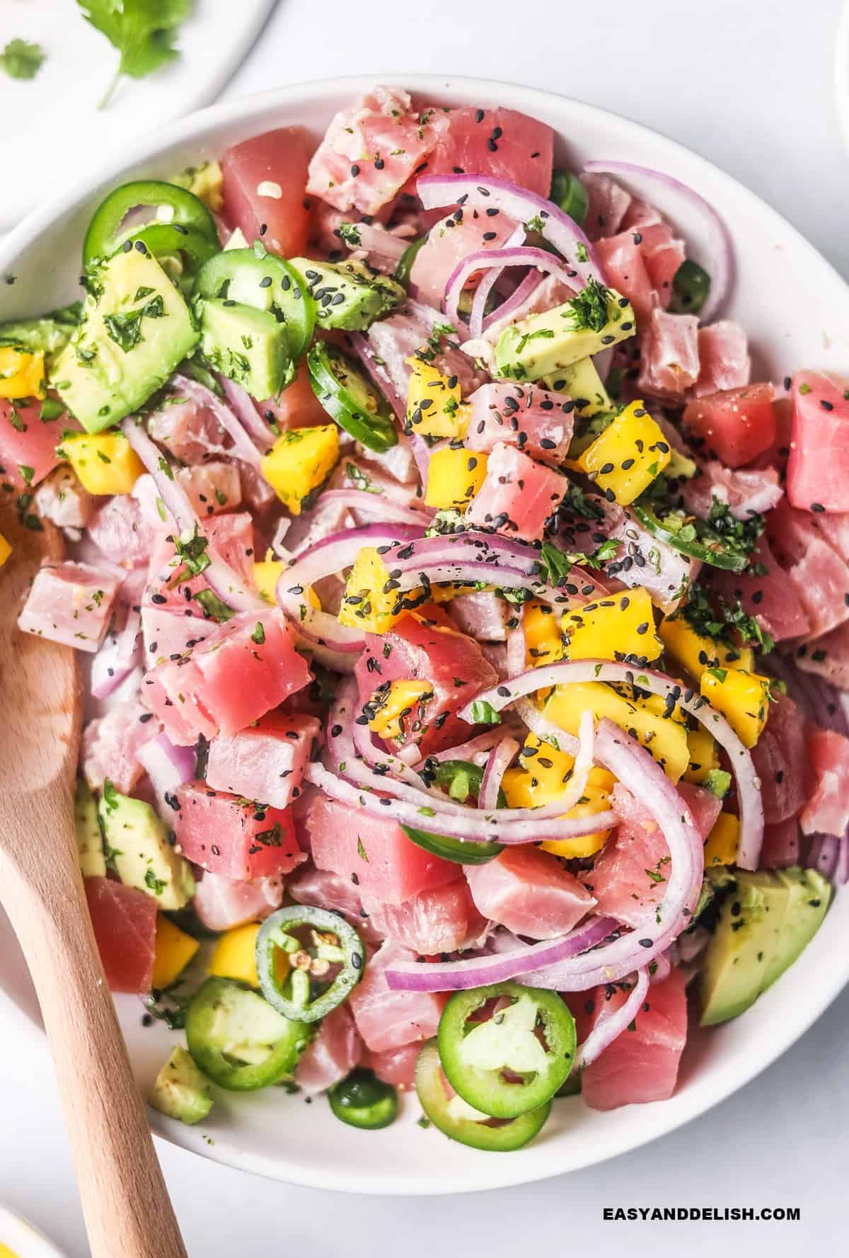 close up of a tuna ceviche bowl.