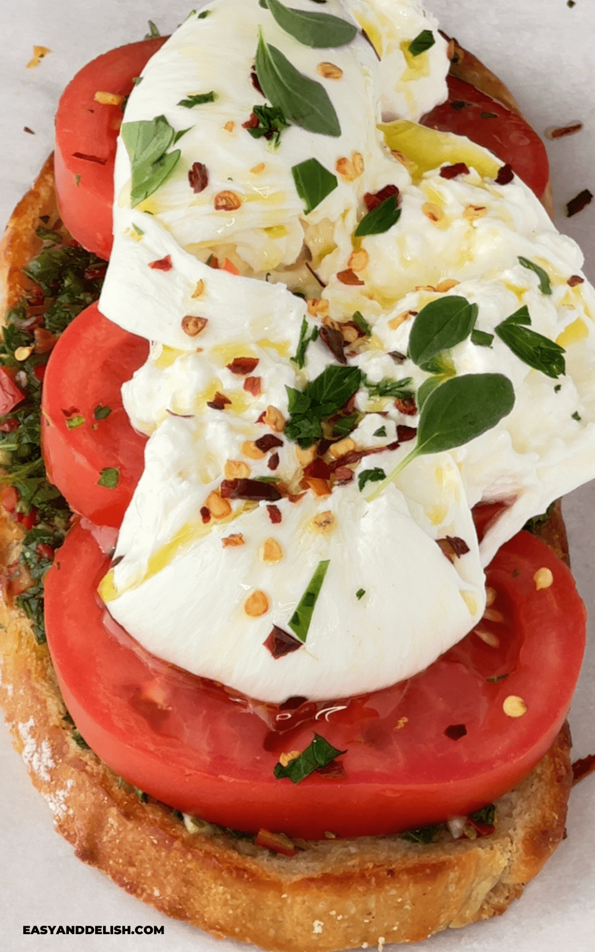 Sourdough toast with tomato and burrata.