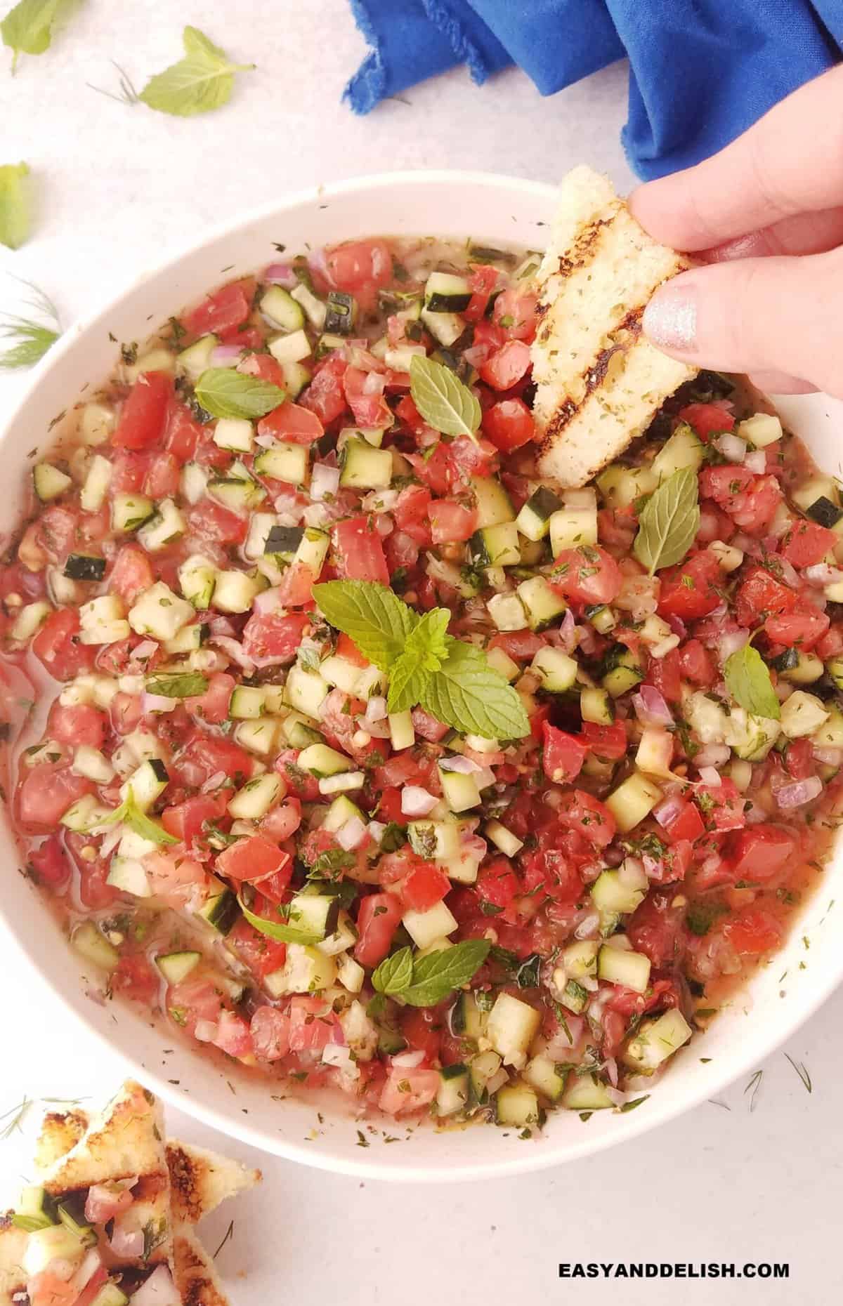 a bowl of shirazi salad with a mini grilled toast dipped in it and some toasts and herbs on the side.
