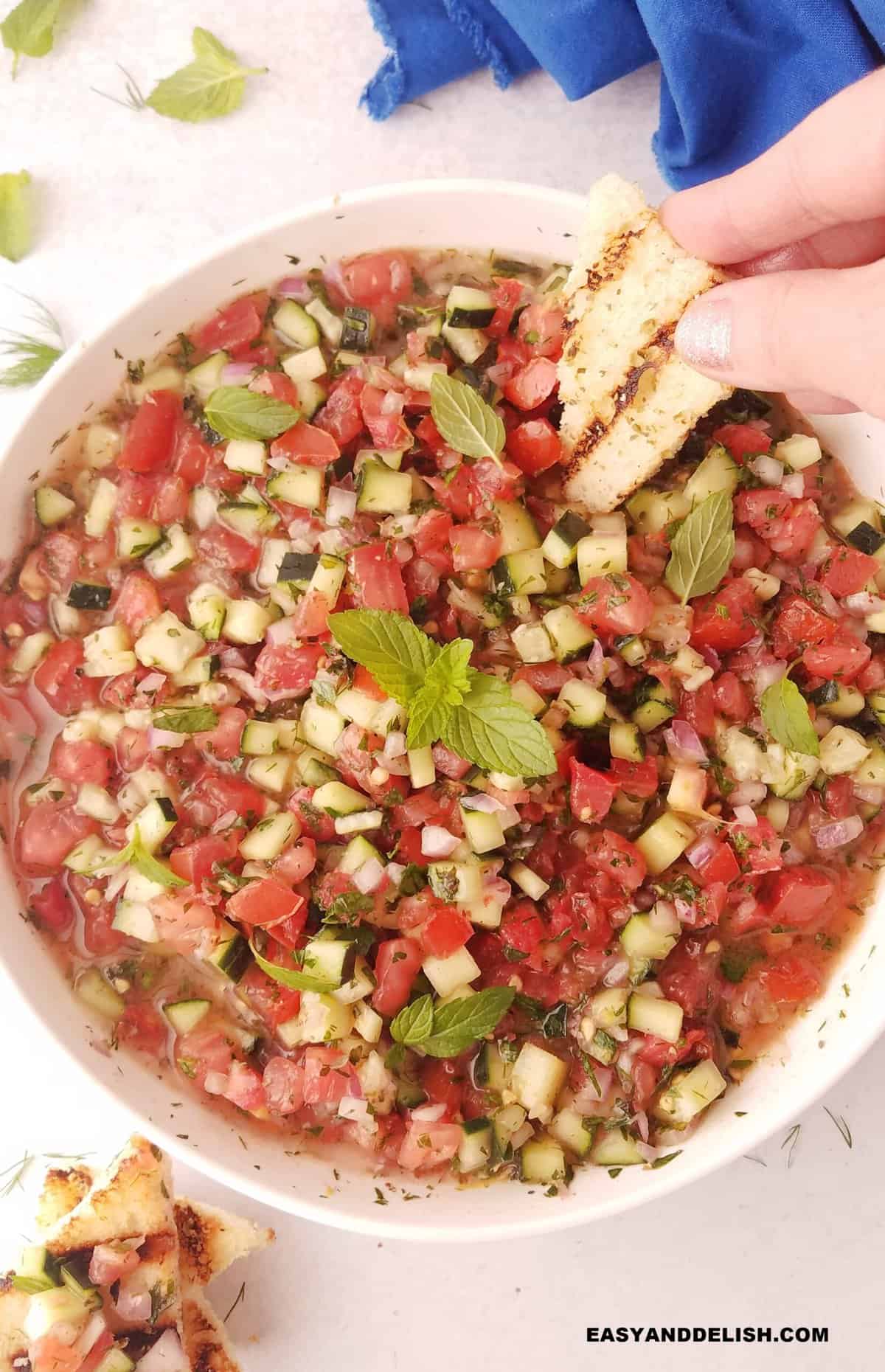 a bowl of shirazi salad with a mini grilled toast dipped in it and some toasts and herbs on the side. 