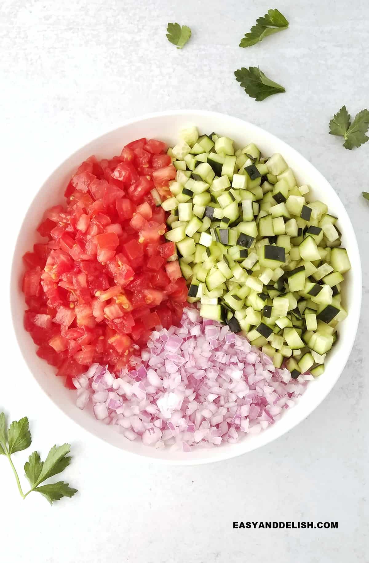 diced tomatoes, cucumber, and red onion in a bowl.