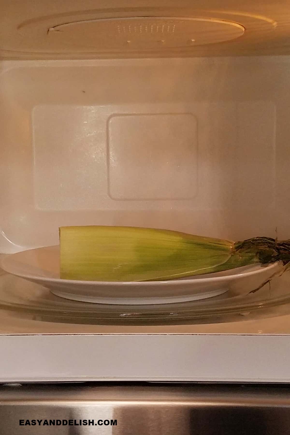 an easr of corn in a plate inside of a microwave. 