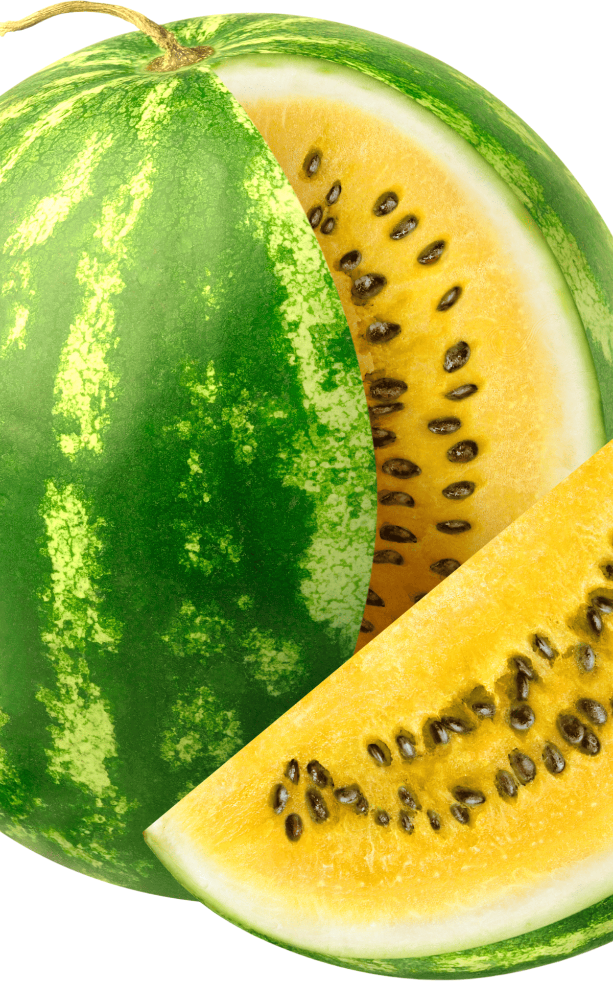 yellow flesh melon with seeds.