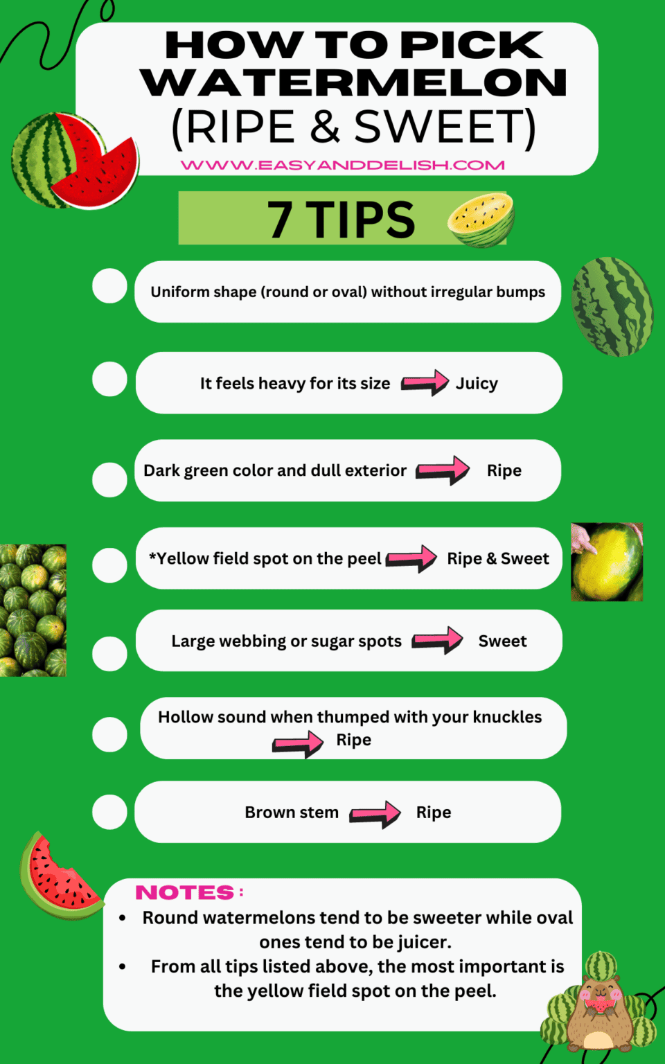 How to pick watermelon ripe and sweet 
