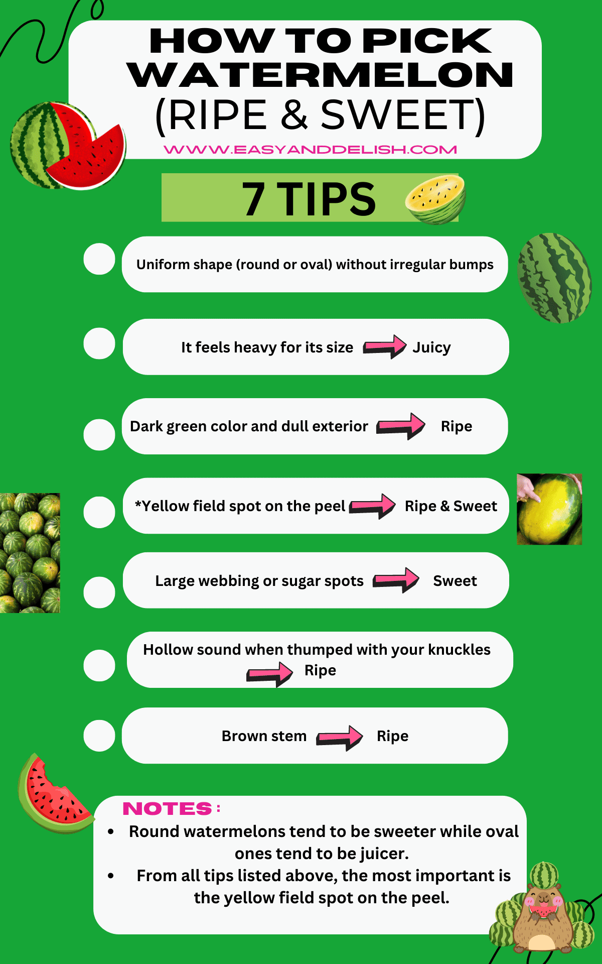 chart listing 7 tips for how to pick watermelon that is ripe and sweet.