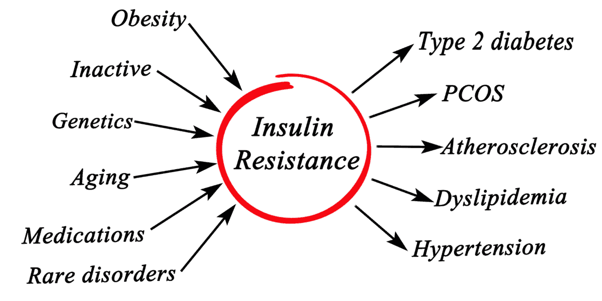insulin resistance causes and diseases written in a chart.
