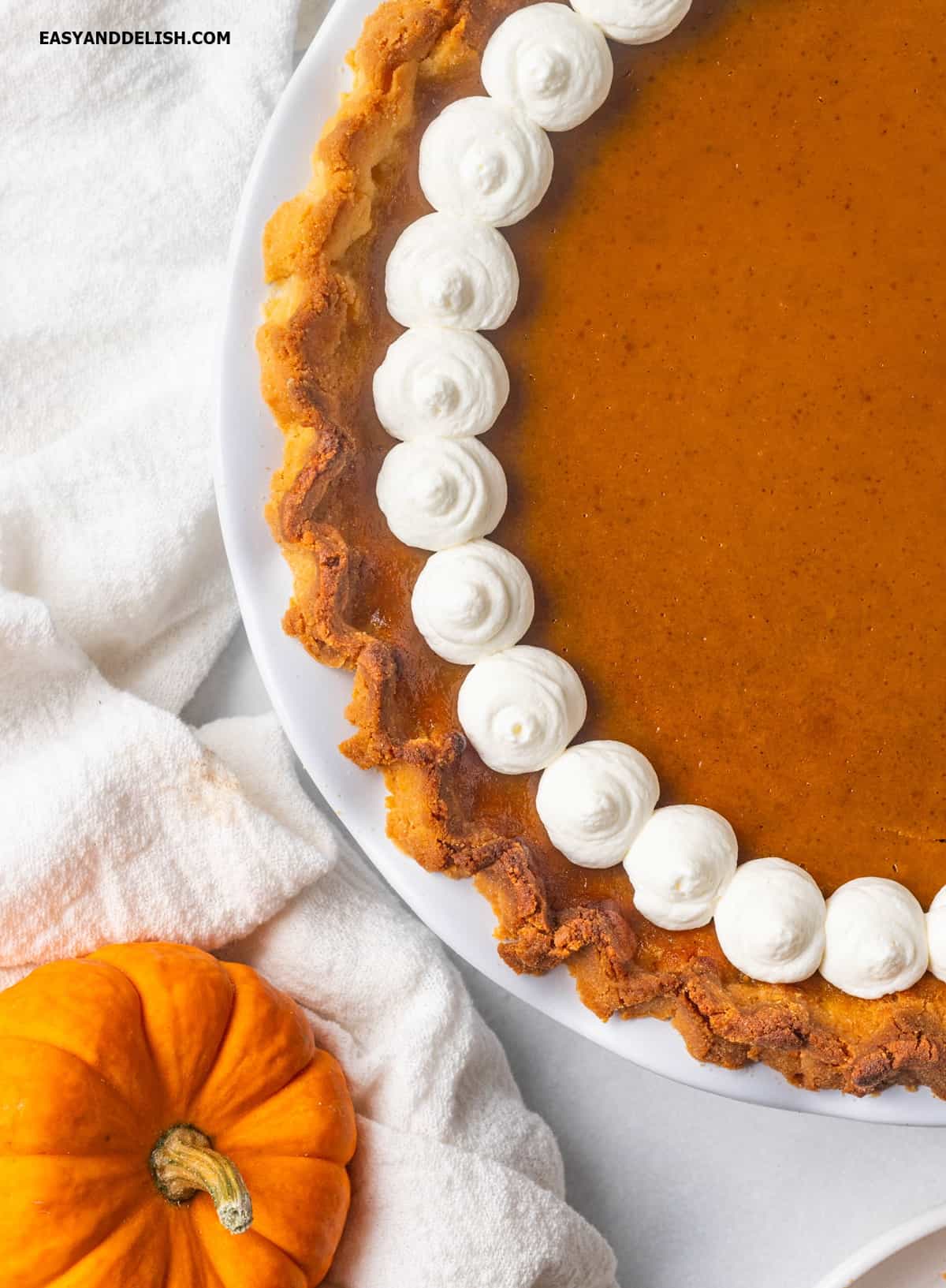 close up of sugar-free pumpkin pie.