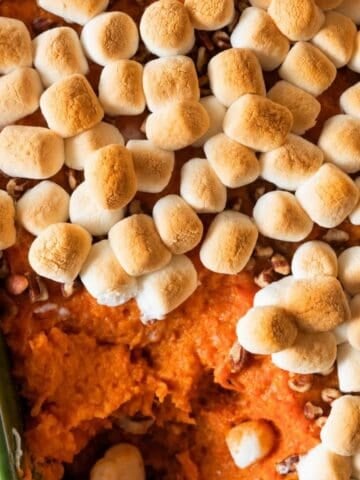 Toasted marshmallows over sweet potato filling with pecans.