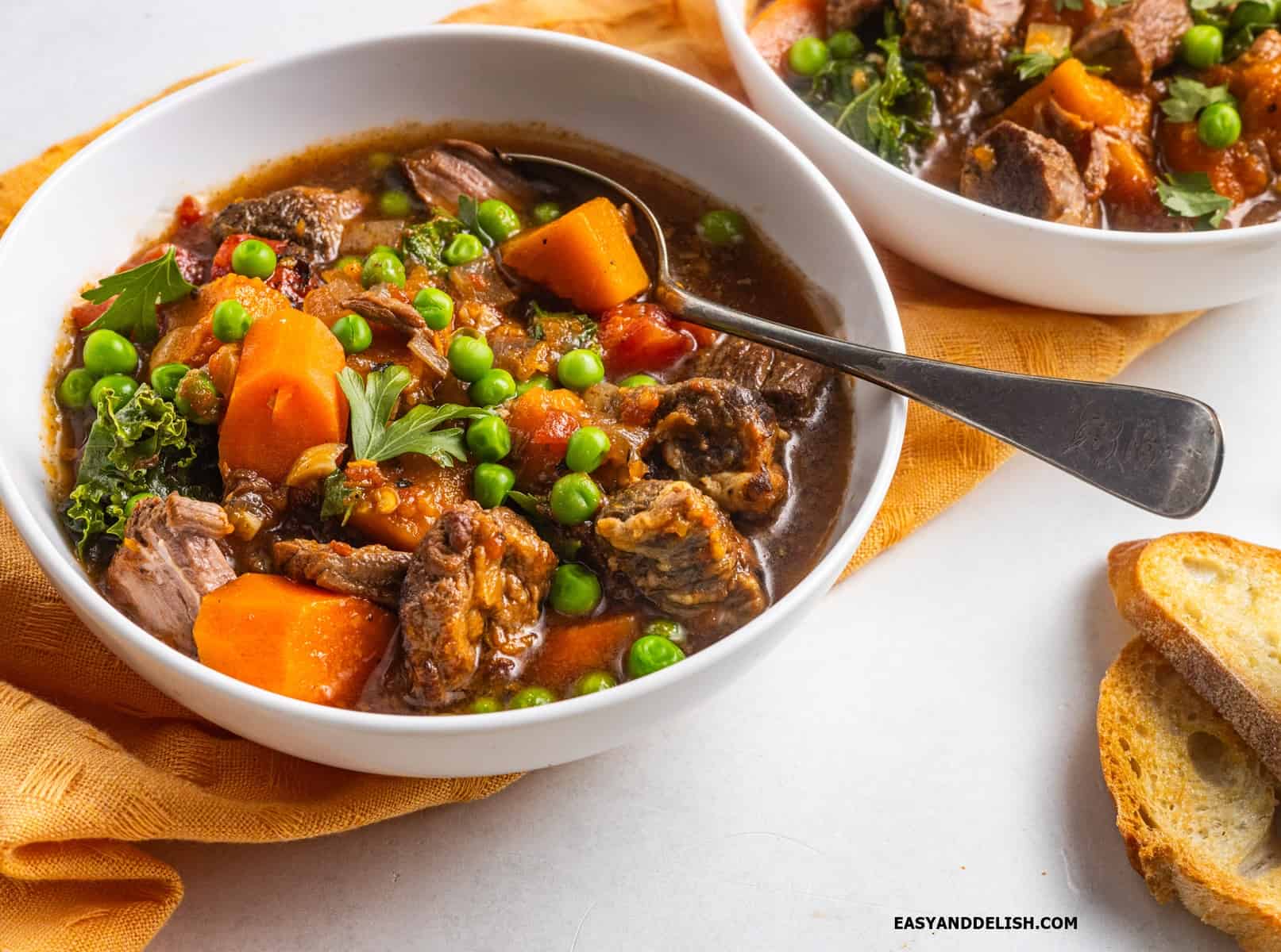 Easy Vegetable Beef Soup Recipe