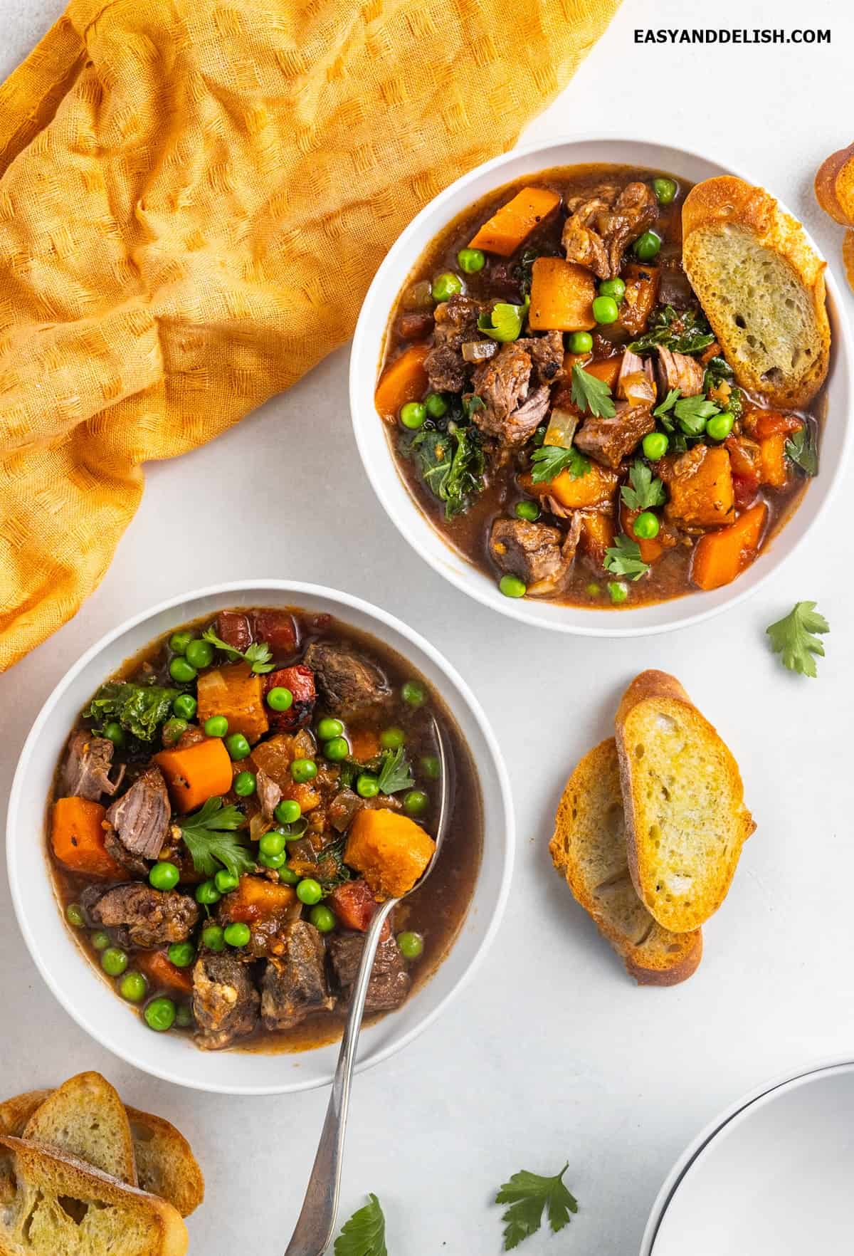 Two bowls of hot beef vegetable soup with toasts. 