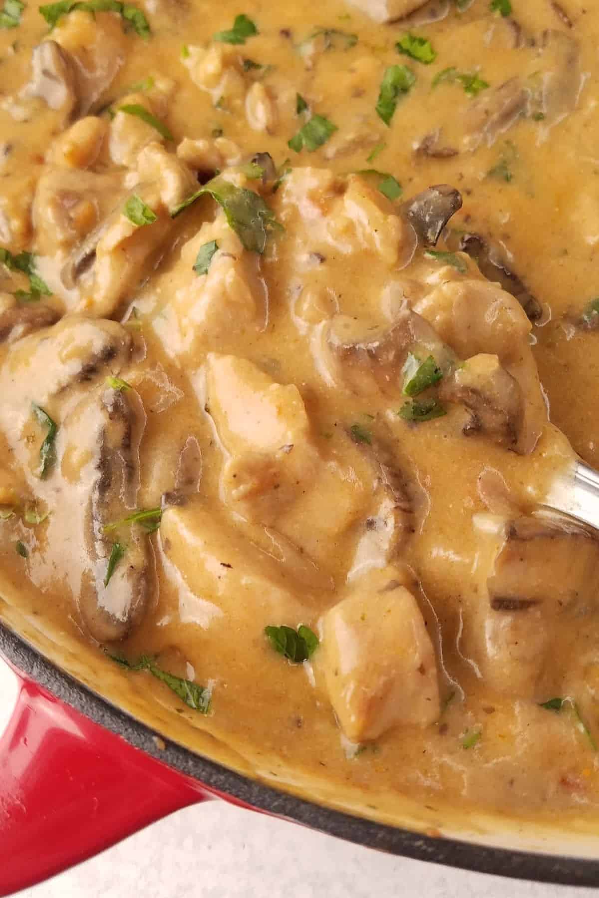 Creamy pork and sliced mushrooms garnished with parsley.