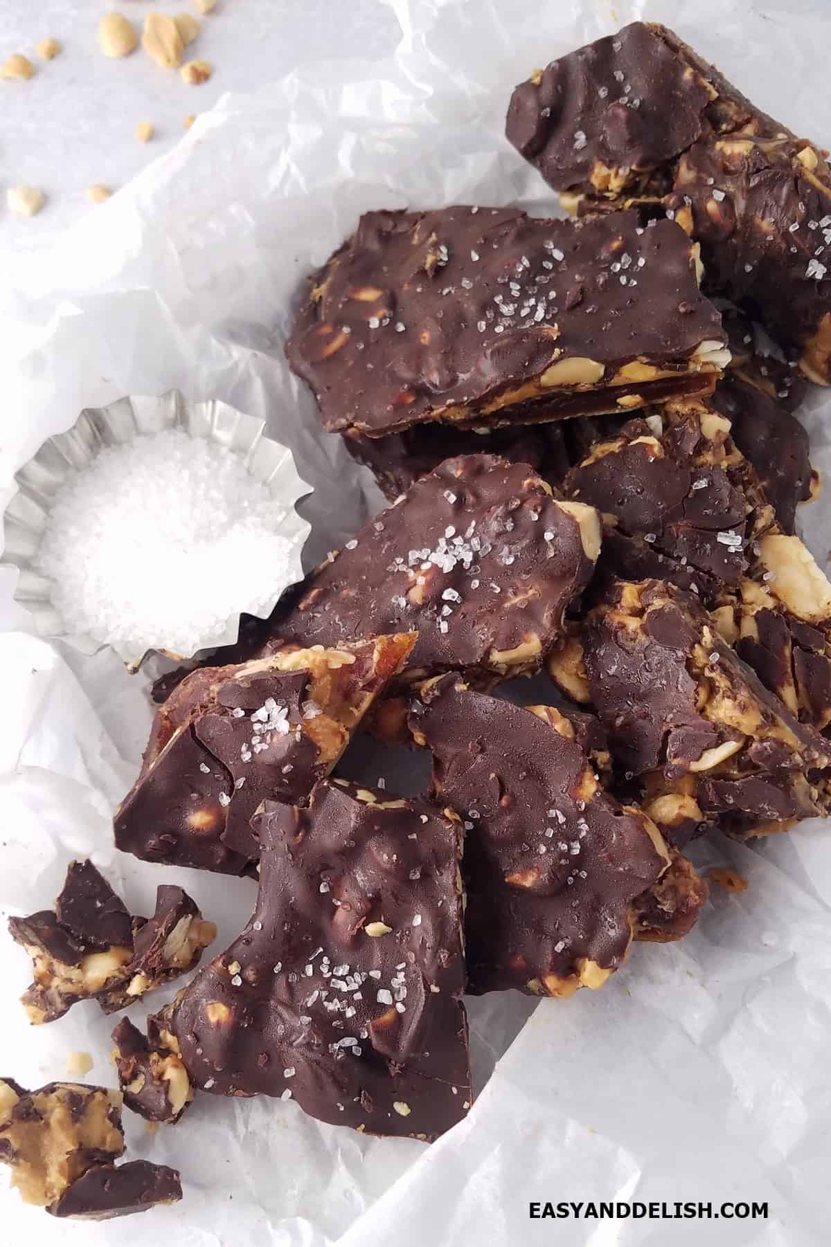 Several pieces of date bark in a tray with a bowl of flaked sea salt on the side. 
