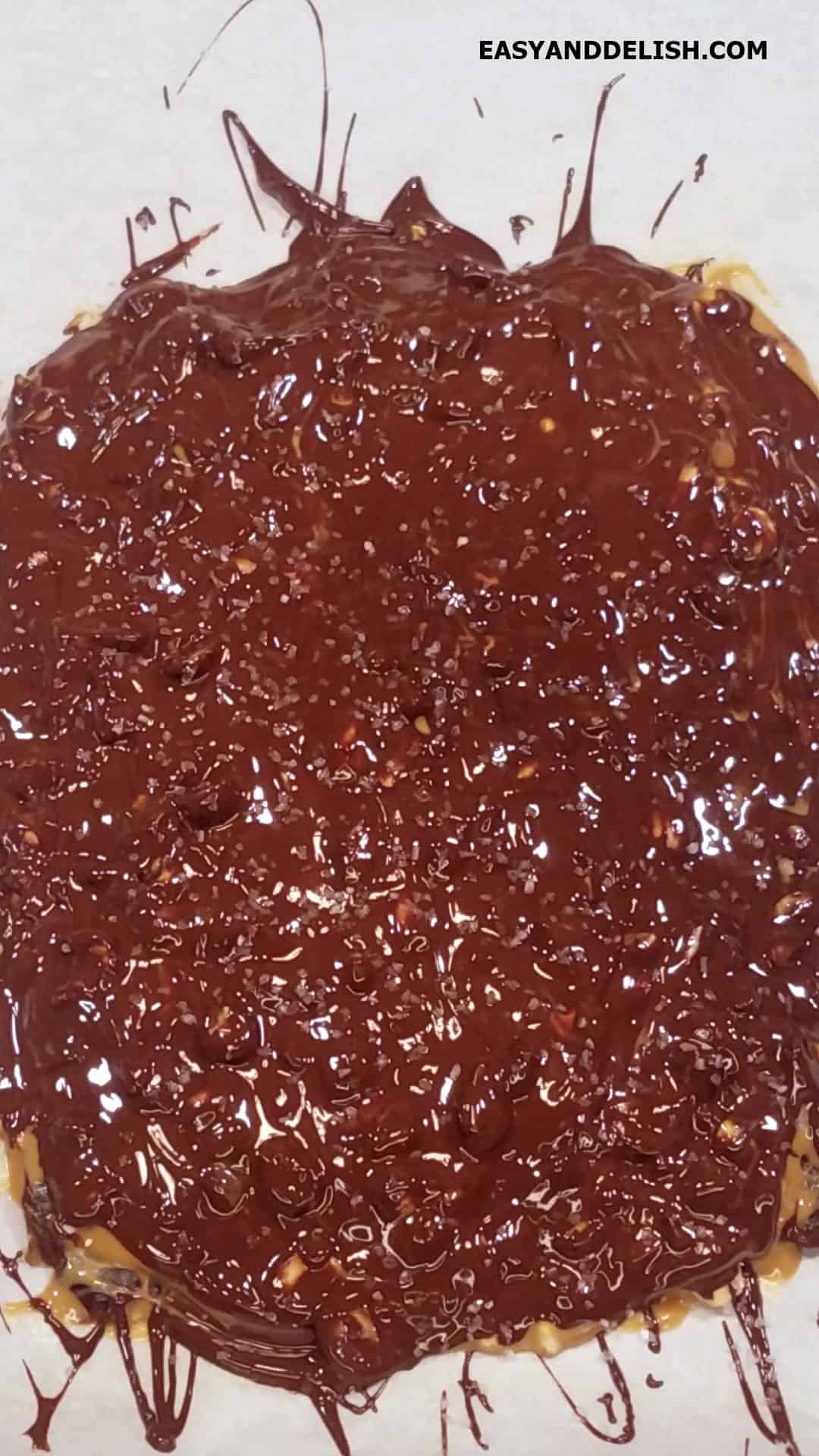 A layer of melted chocolate placed on top of chopped nuts. 