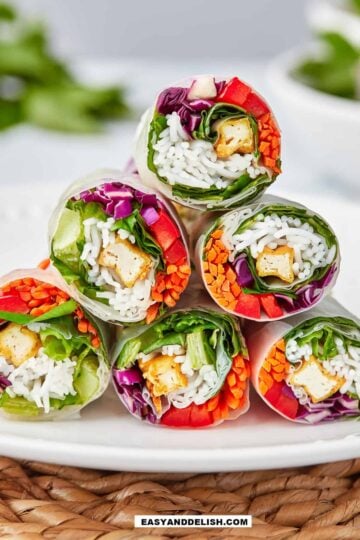Vegetarian Recipes